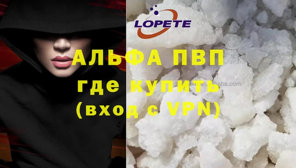 твердый Горняк