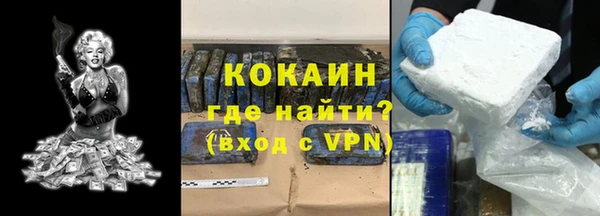 твердый Горняк