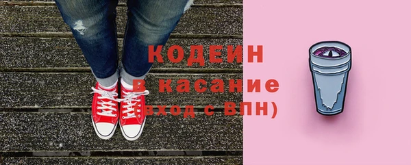 твердый Горняк