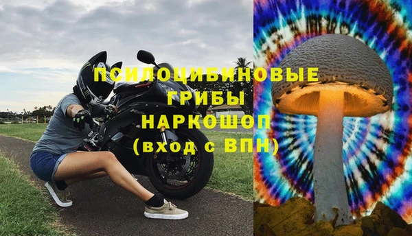 твердый Горняк
