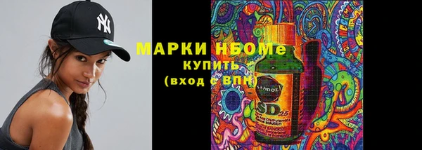 твердый Горняк