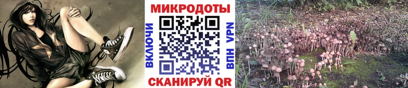 ссылка на мегу зеркало  Маркс  Галлюциногенные грибы Psilocybine cubensis 